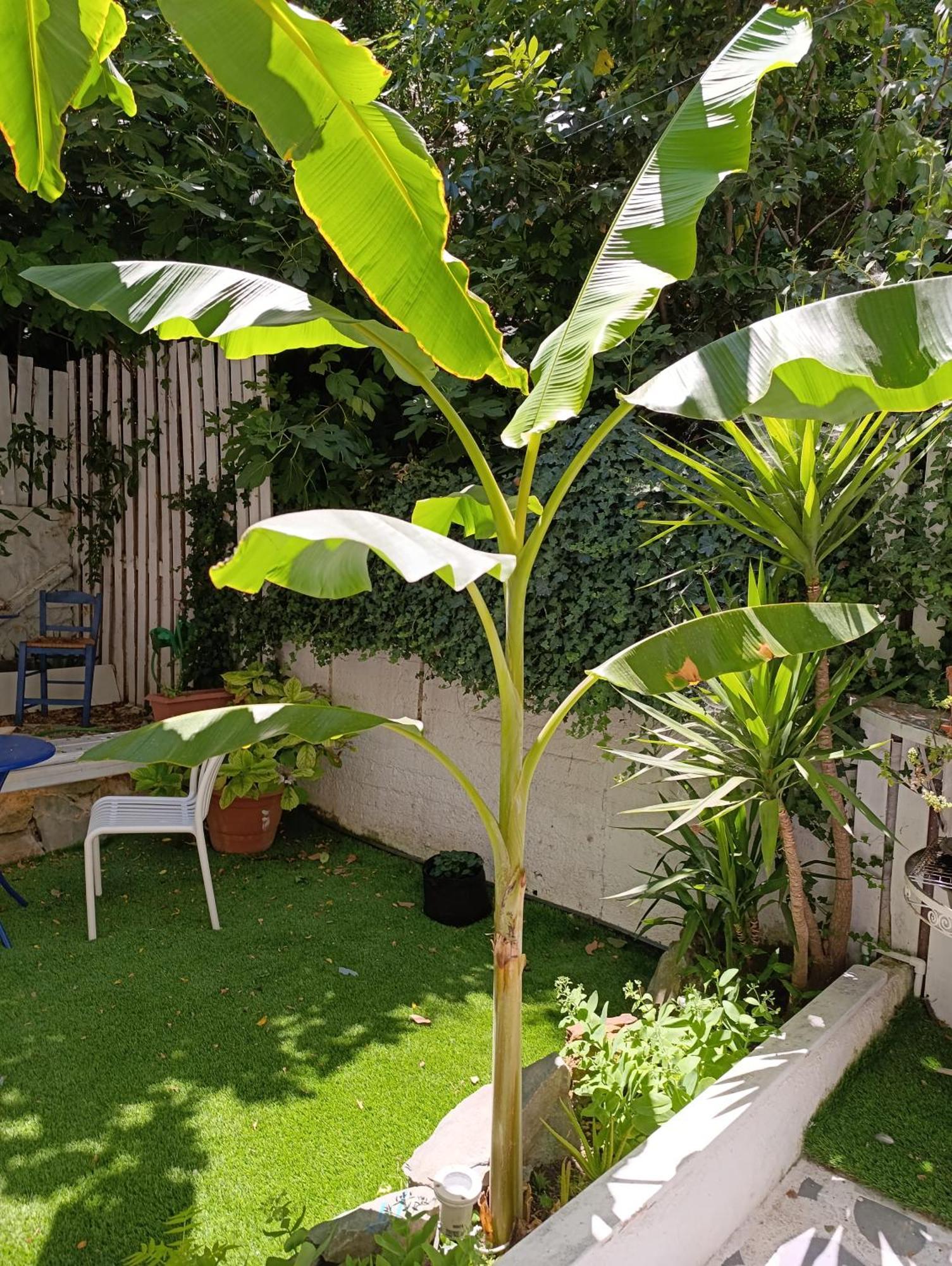 Trykonos Garden - Free Parking - Explore Center By Foot - Close To University & Helexpo * Салоники